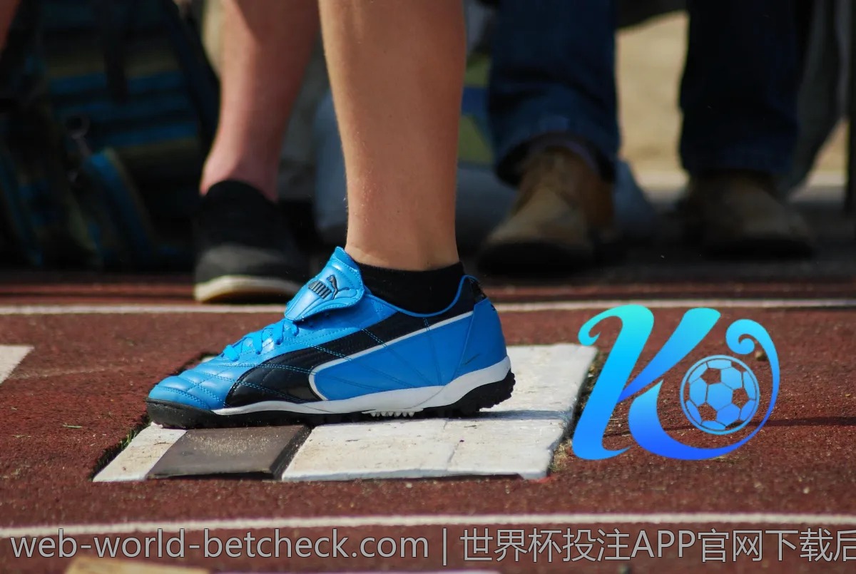 世界杯投注APP官网下载后如何高效使用？