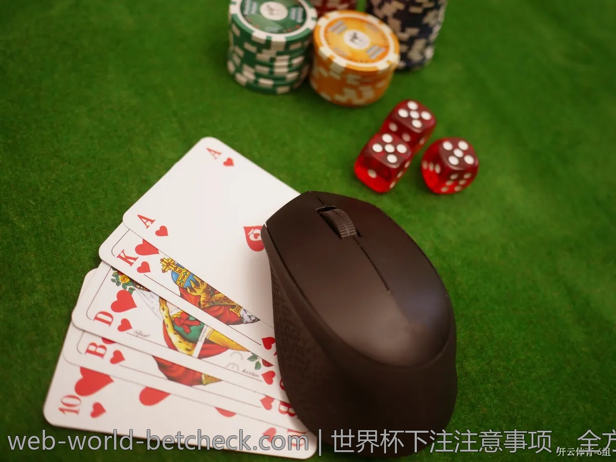 世界杯下注注意事项，全方位提升投注体验