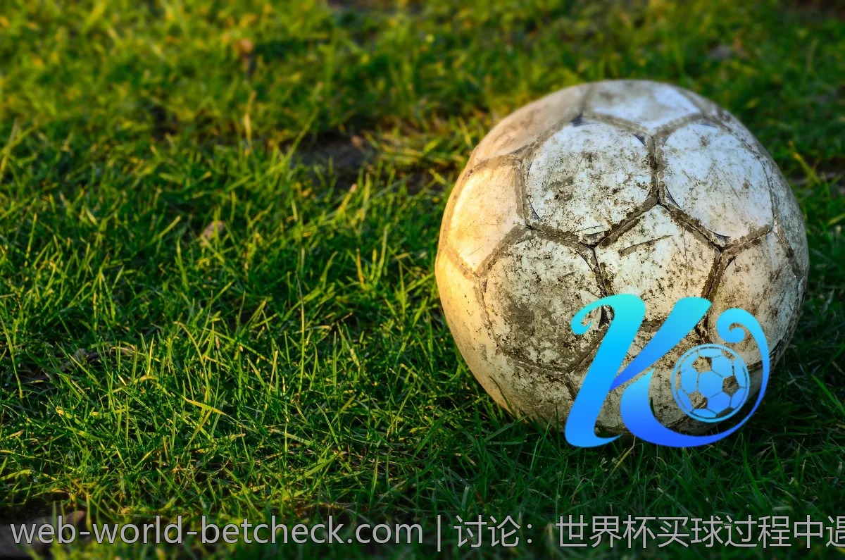 讨论：世界杯买球过程中遇到的问题与解决办法