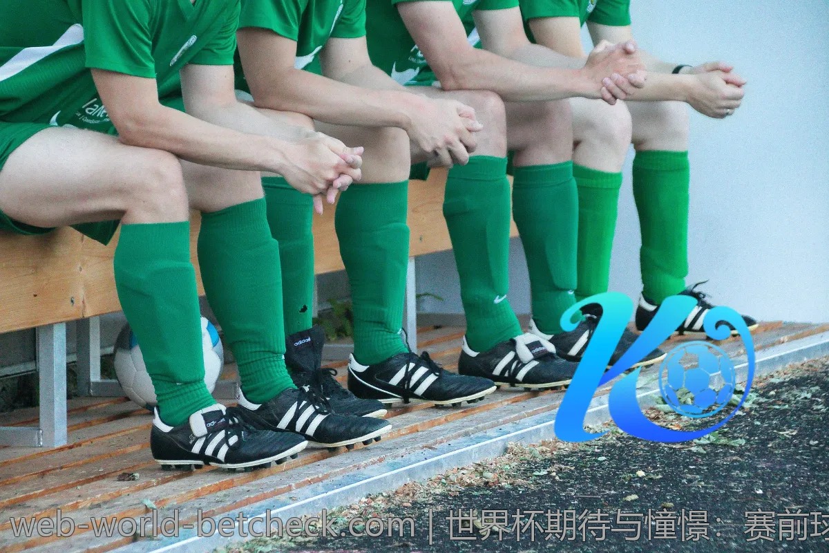 世界杯期待与憧憬：赛前球迷心声大曝光