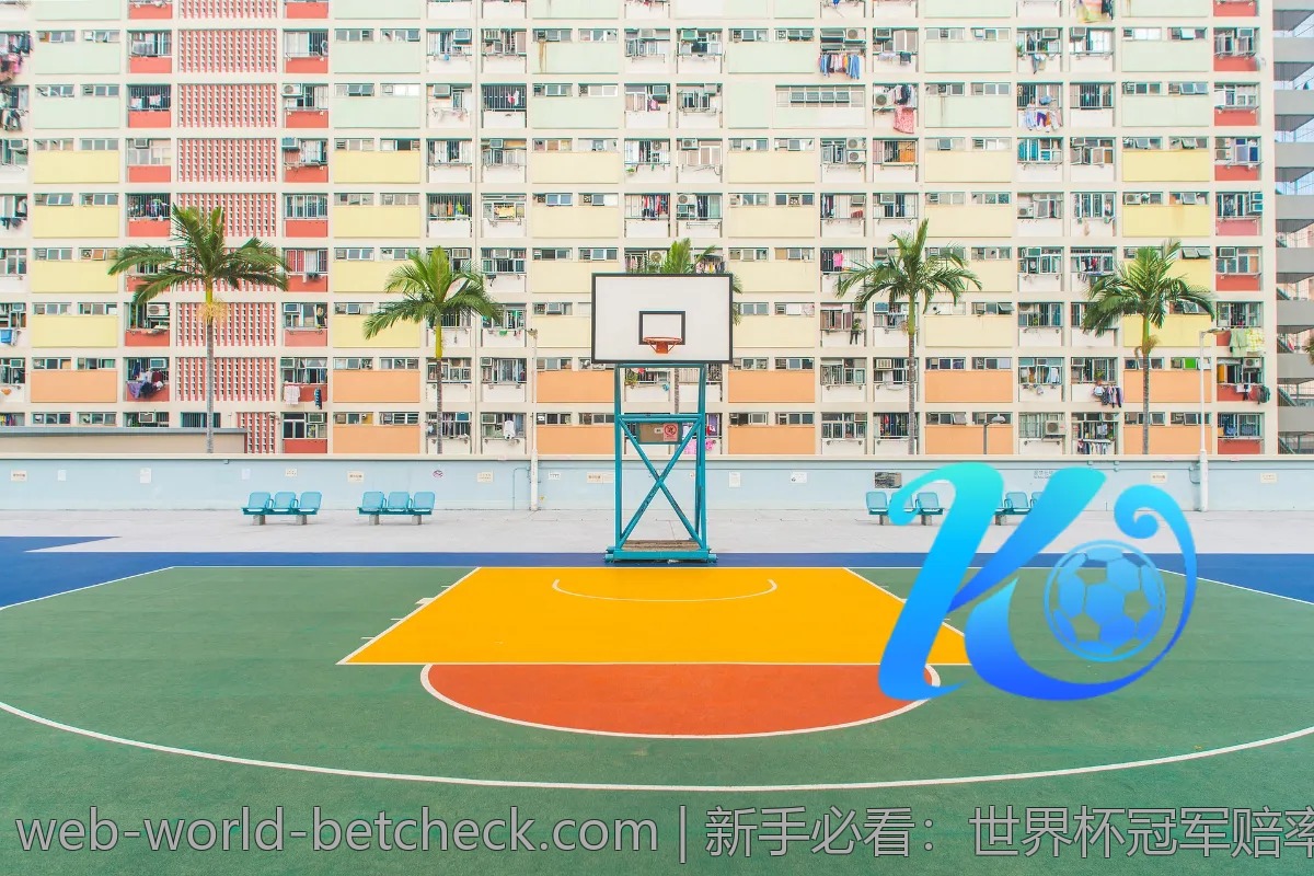 新手必看：世界杯冠军赔率投注经验汇总