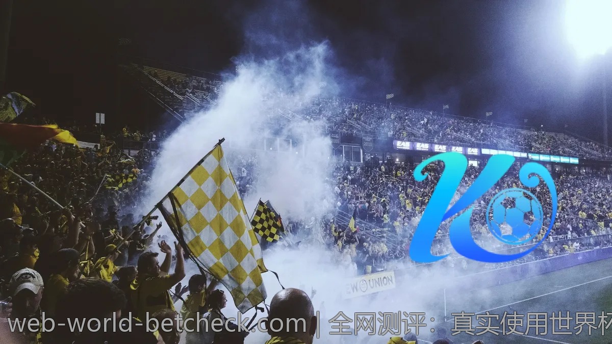 世界杯投注APP的用户反馈与评价整理
